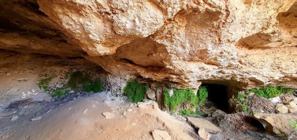 أم الشقف/ دورا- الخليل، بعدسة عبد الجبار قاضي