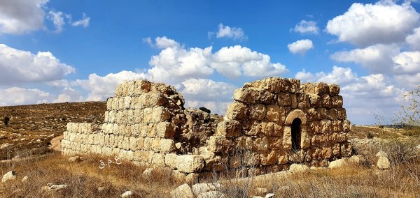 أم الشقف/ دورا- الخليل، بعدسة عبد الجبار قاضي