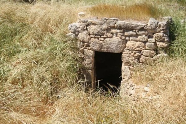 أم الشقف/ دورا- الخليل