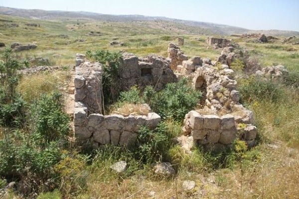 أم الشقف/ دورا- الخليل