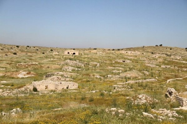 أم الشقف/ دورا- الخليل