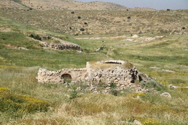 أم الشقف/ دورا- الخليل