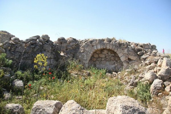 أم الشقف/ دورا- الخليل