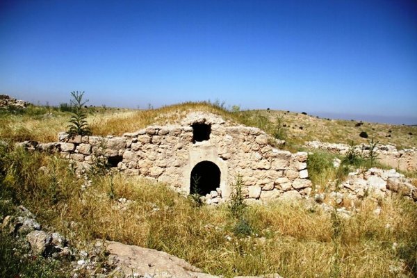 أم الشقف/ دورا- الخليل