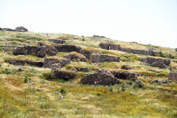 أم الشقف/ دورا- الخليل