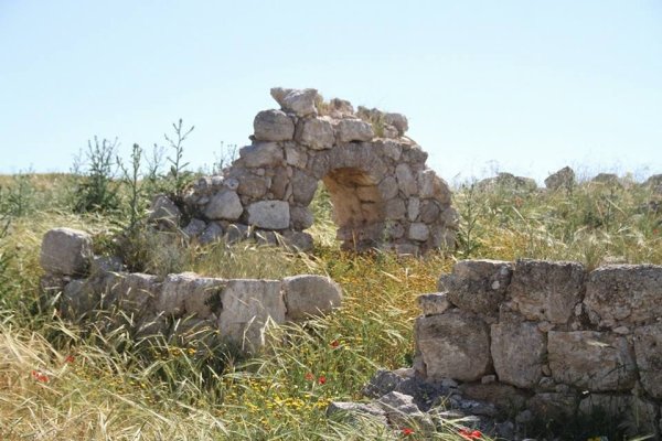 أم الشقف/ دورا- الخليل