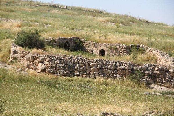 أم الشقف/ دورا- الخليل