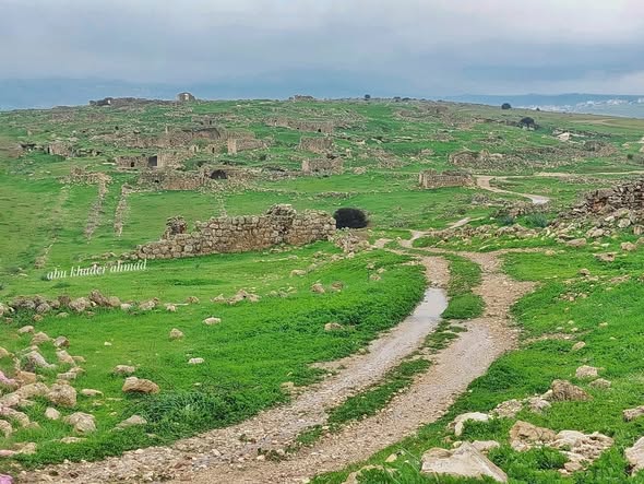 أم الشقف/ دورا- الخليل