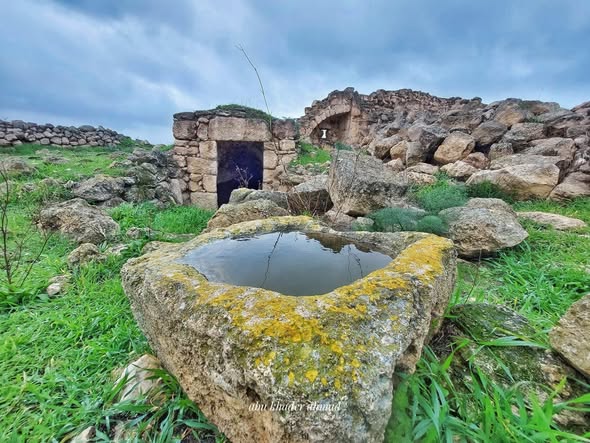 أم الشقف/ دورا- الخليل