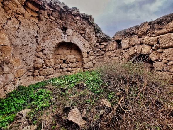 أم الشقف/ دورا- الخليل