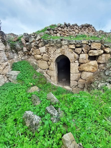 أم الشقف/ دورا- الخليل