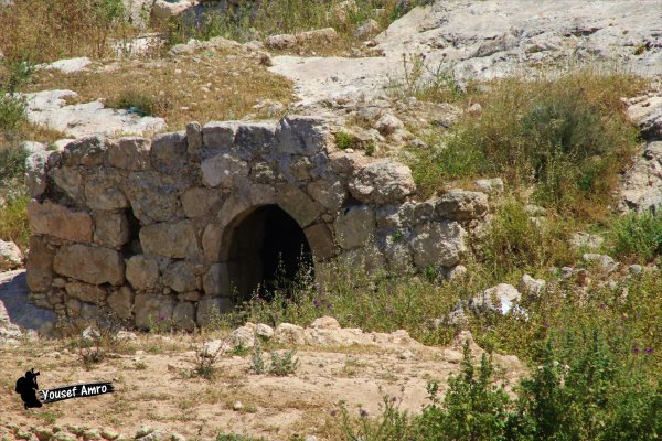 | موسوعة القرى الفلسطينية  | موسوعة القرى الفلسطينية