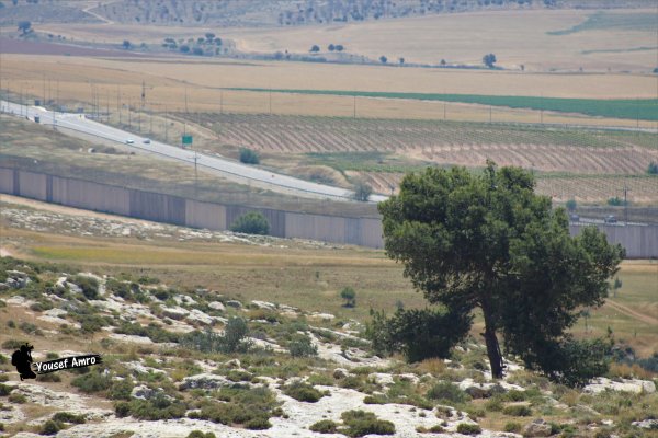 | موسوعة القرى الفلسطينية  | موسوعة القرى الفلسطينية