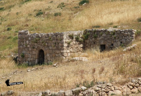 | موسوعة القرى الفلسطينية  | موسوعة القرى الفلسطينية