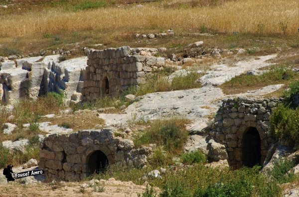 | موسوعة القرى الفلسطينية  | موسوعة القرى الفلسطينية