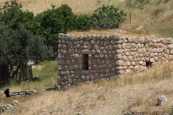 | موسوعة القرى الفلسطينية  | موسوعة القرى الفلسطينية