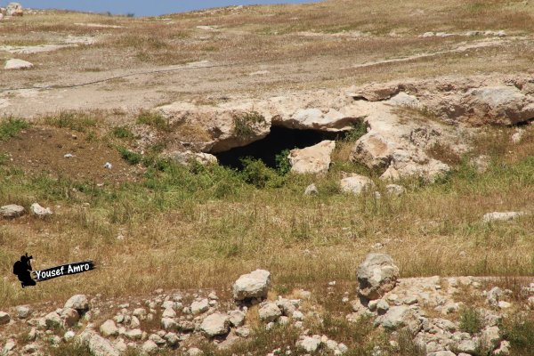 | موسوعة القرى الفلسطينية  | موسوعة القرى الفلسطينية