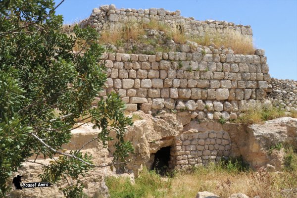 | موسوعة القرى الفلسطينية  | موسوعة القرى الفلسطينية