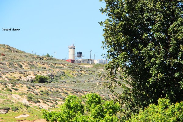 | موسوعة القرى الفلسطينية  | موسوعة القرى الفلسطينية