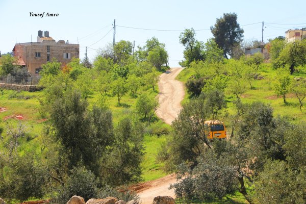 | موسوعة القرى الفلسطينية  | موسوعة القرى الفلسطينية