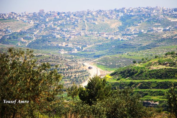 | موسوعة القرى الفلسطينية  | موسوعة القرى الفلسطينية