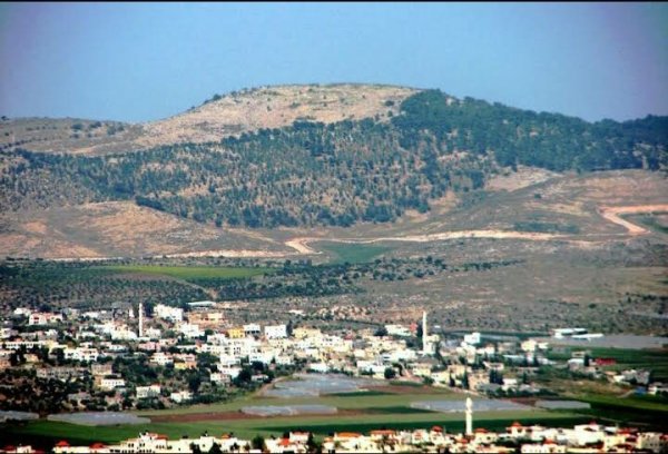 عرانة / جنين