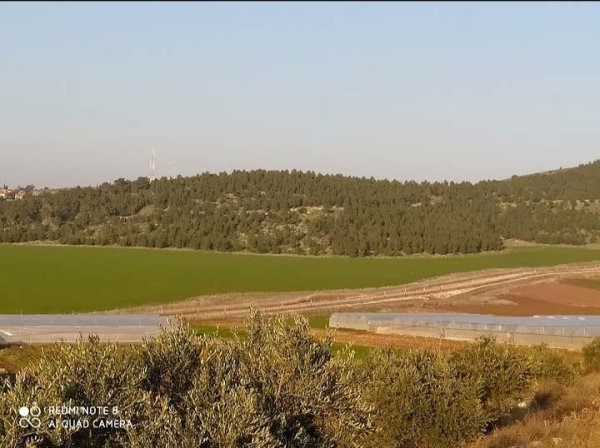 عرانة / جنين