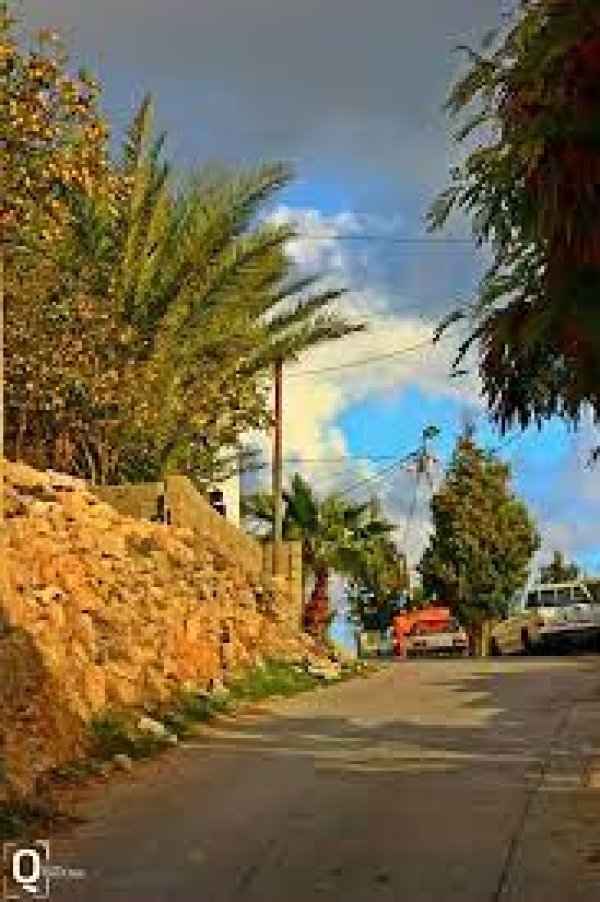 | موسوعة القرى الفلسطينية  | موسوعة القرى الفلسطينية