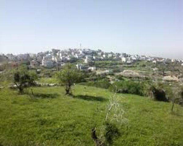 | موسوعة القرى الفلسطينية  | موسوعة القرى الفلسطينية