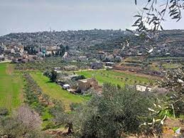  | موسوعة القرى الفلسطينية