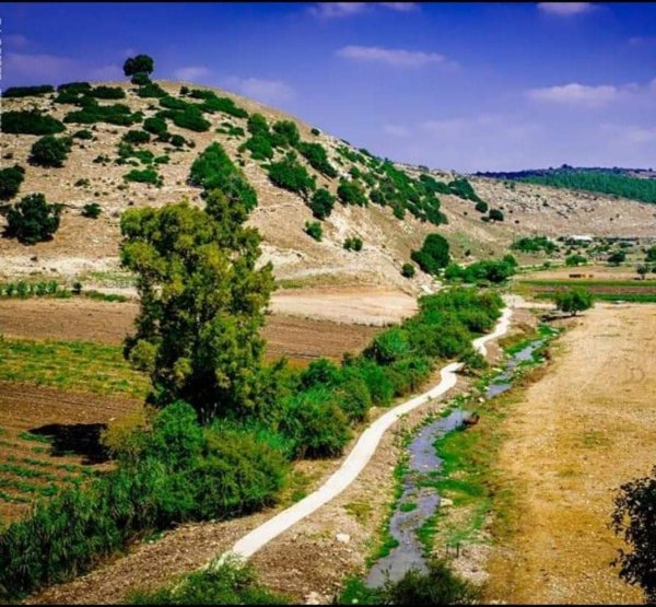 | موسوعة القرى الفلسطينية  | موسوعة القرى الفلسطينية