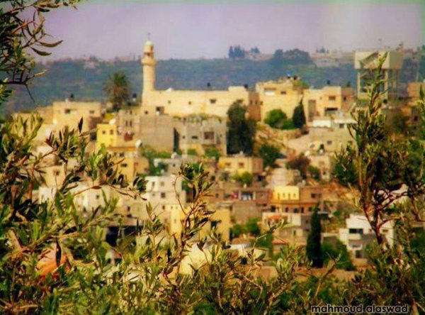 | موسوعة القرى الفلسطينية  | موسوعة القرى الفلسطينية