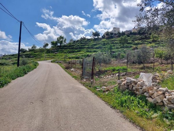 | موسوعة القرى الفلسطينية  | موسوعة القرى الفلسطينية
