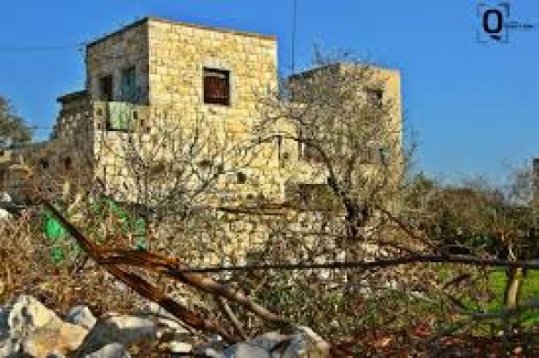 | موسوعة القرى الفلسطينية  | موسوعة القرى الفلسطينية