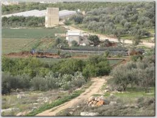 | موسوعة القرى الفلسطينية  | موسوعة القرى الفلسطينية