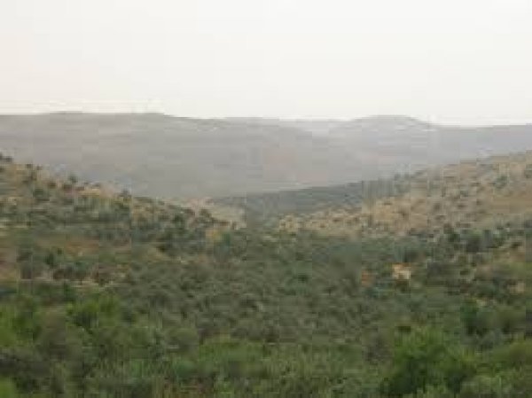 | موسوعة القرى الفلسطينية  | موسوعة القرى الفلسطينية