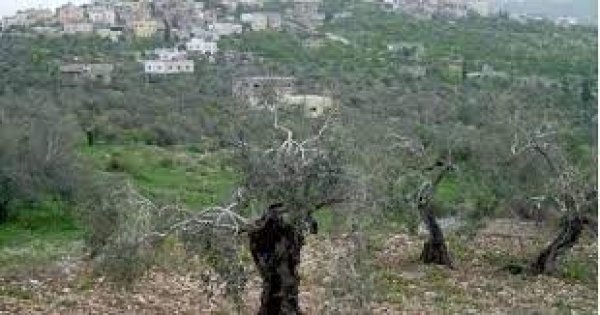 | موسوعة القرى الفلسطينية  | موسوعة القرى الفلسطينية