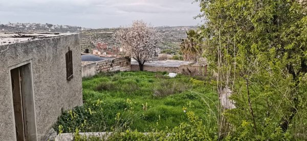| موسوعة القرى الفلسطينية  | موسوعة القرى الفلسطينية
