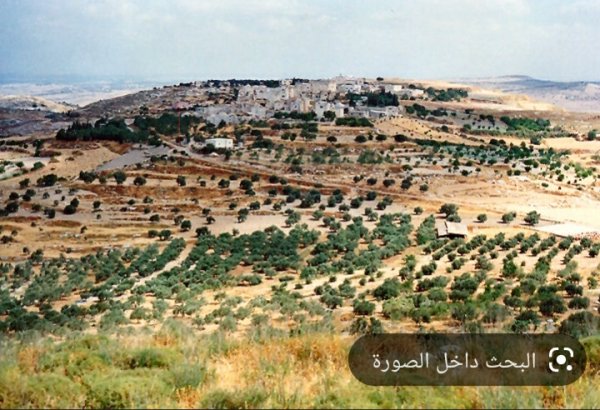 | موسوعة القرى الفلسطينية  | موسوعة القرى الفلسطينية