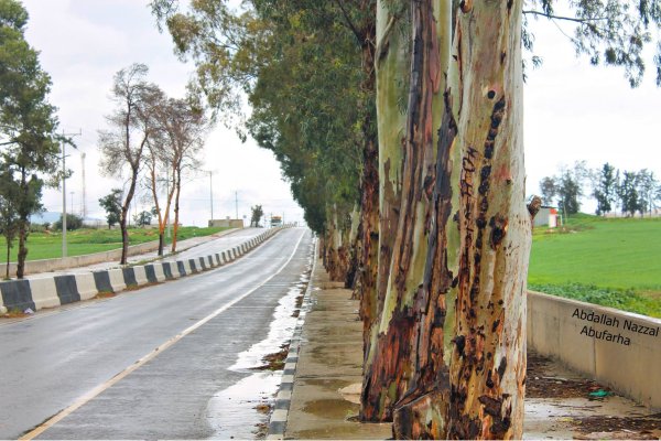  | موسوعة القرى الفلسطينية