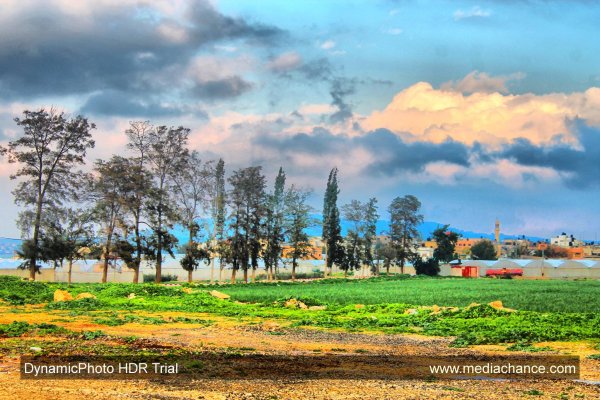  | موسوعة القرى الفلسطينية