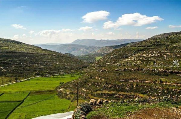  | موسوعة القرى الفلسطينية