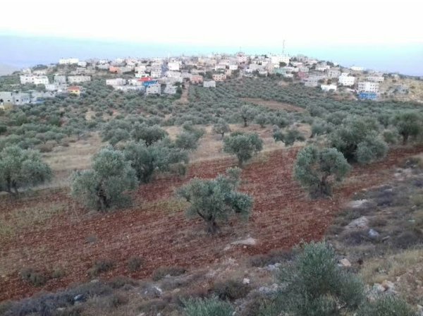  | موسوعة القرى الفلسطينية