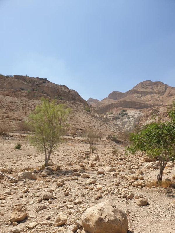 | موسوعة القرى الفلسطينية  | موسوعة القرى الفلسطينية