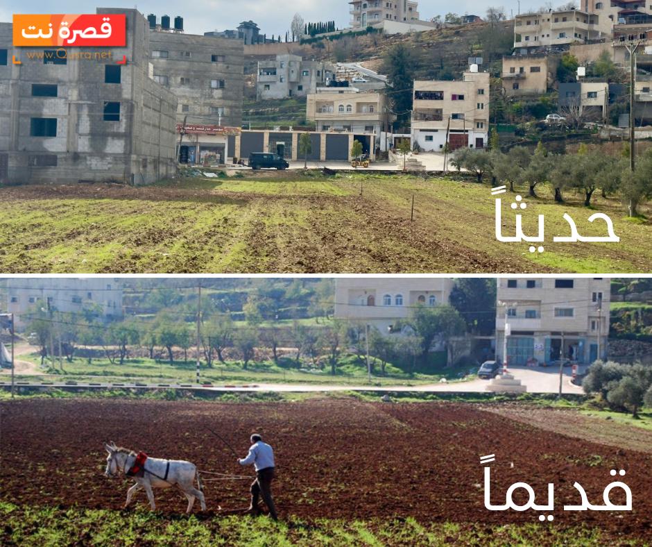 قصرة بين اليوم والأمس