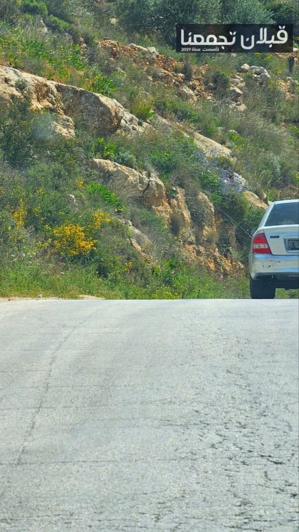 صور من قرية قبلان بتاريخ 5-4-2025، نقلاً عن صفحة قبلان تجمعنا