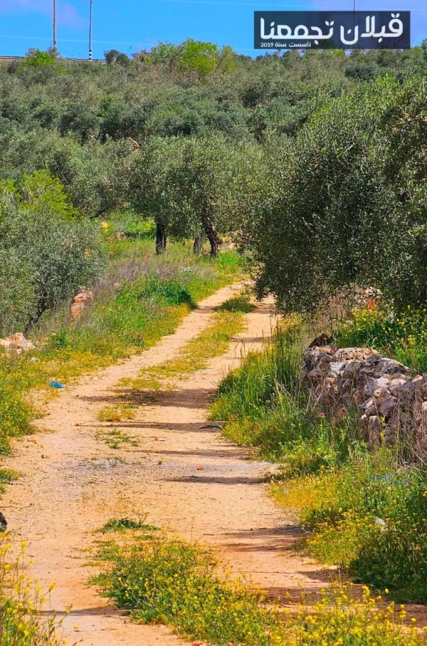 صور من قرية قبلان بتاريخ 5-4-2025، نقلاً عن صفحة قبلان تجمعنا