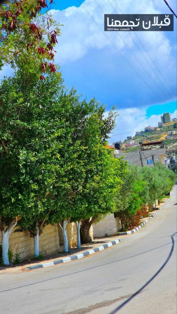 صور من قرية قبلان بتاريخ 5-4-2025، نقلاً عن صفحة قبلان تجمعنا