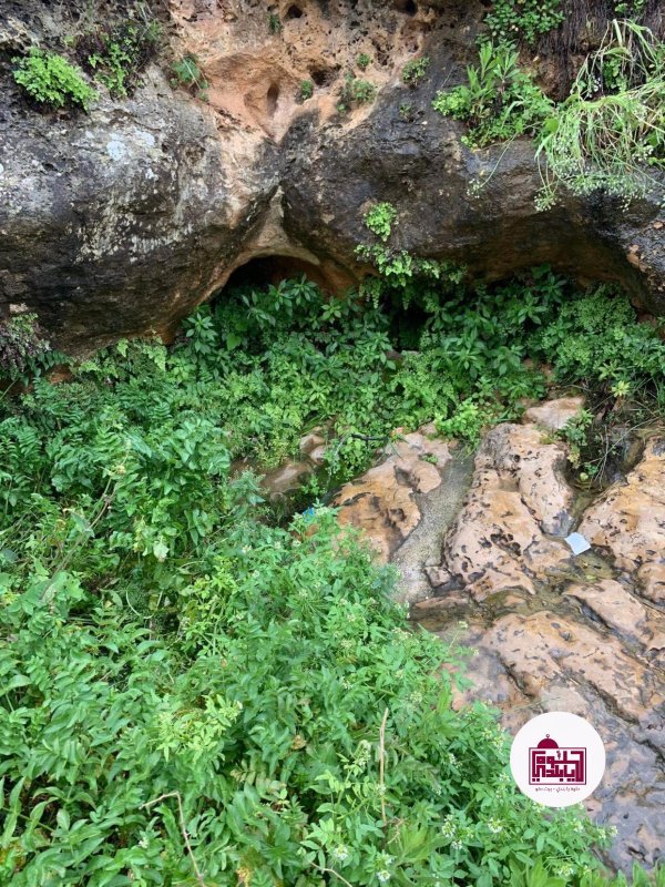  | موسوعة القرى الفلسطينية