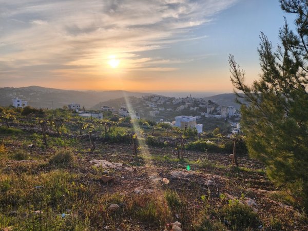  | موسوعة القرى الفلسطينية